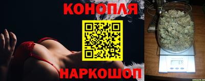 гидропоника Рязань